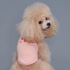 도그아이 반려동물 곰돌이 나시티, 핑크, 1개