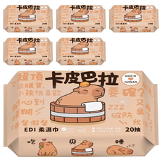 Smart Wipes 卡皮巴拉 EDI 超純水柔濕巾 20張, 1入, 6包