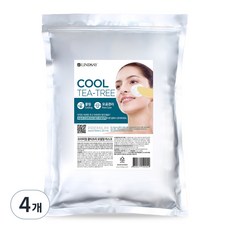 린제이 프리미엄 티트리 모델링팩 1kg, 1개입, 4개