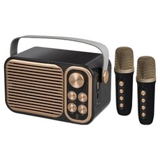 aibo 雙人對唱行動KTV 藍牙喇叭麥克風組, LA-BT-LXS3, 經典灰, 1組