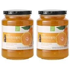 綠園濟州哈拉邦茶, 560g, 1罐, 2罐