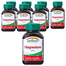 자미에슨 마그네슘 250mg, 90정, 8개