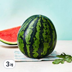 못난이수박, 5kg이상, 3개