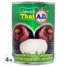 타이에이디 워터체스트넛 인 시럽 물밤 통조림, 565g, 4개