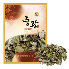 東光 青剛櫟葉, 600g, 1個