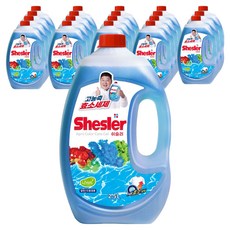쉬슬러 액체세제 에이프릴 본품, 2.5L, 20개