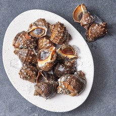 아라보감 산지직송 남해안 자연산 참소라, 1kg(소), 1개