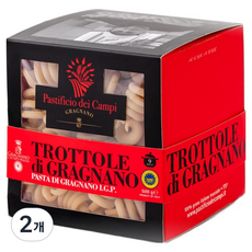 파스티피치오데이캄피 트로톨레 파스타면, 500g, 2개