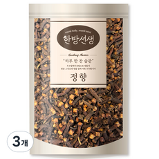 한방선생 정향 클로브, 100g, 3개