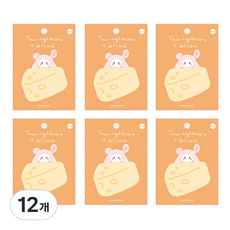 마리몽 플라잉 웨일즈 점착 메모패드, 친칠라, 40매, 12개