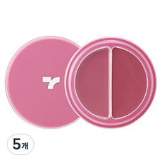 TONYMOLY 雙色唇蜜腮紅兩用膏 4.8g, 5入, 09 Mauve Moon