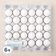 조인 무항생제 백색대란, 30구, 6개