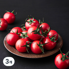 GAP 인증 핑크 토마토, 500g, 3개