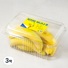 치키타 코스타리카산 바나나, 1.5kg, 3개