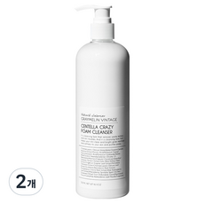 GRAYMELIN 大容量瘋狂積雪草泡沫潔面乳, 500ml, 2個