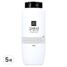가성비가브랜드다 구연산, 5개, 450g