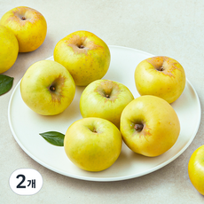 셀렉트팜 A 골드 사과, 1.5kg(소과, 8~9입), 2개
