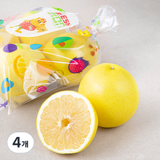 남아공산 화이트 잭슨 자몽, 1.6kg, 4개