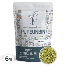 푸른빈 산미나리 씨앗 회향 펜넬, 500g, 6개