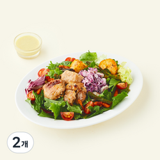 그리팅 치킨 퍼플 코울슬로 샐러드, 252g, 2개