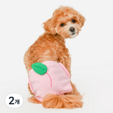 올치 강아지 여아 베리피치 위생 팬티 핑크 PT6334, 중형, 2개, 1개입