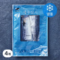 맛있는제주 제주 삼치 (냉동), 4개, 500g