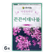 다농 끈끈이 대나물 씨앗 1g, 6개
