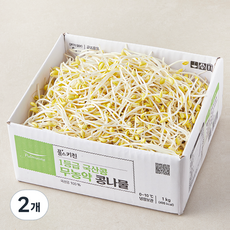 풀스키친 국내산 무농약 1등급 콩나물, 1kg, 2개
