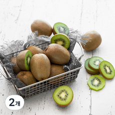 제주 친환경인증 후숙 그린키위, 1kg, 2개