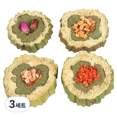 헤이본 토끼 티모시건초 과일 채소 수세미 케이크 자연원물 간식 4종 세트 140g, 3세트