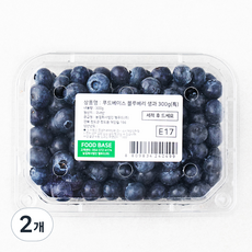 푸드베이스 국내산 블루베리 생과, 300g(특), 2개