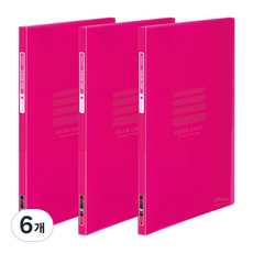 ECO Chungwoon 彩色索引透明文件夾 10頁 A4, 粉紅, 6個
