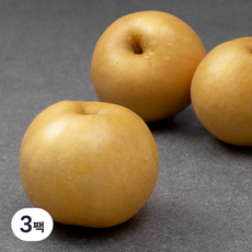 배, 1.8kg(3입), 3팩