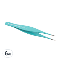 알롱 인그로운 헬퍼 66, 6개