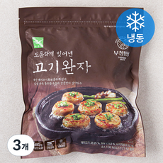 사옹원 부침명장 고기완자 (냉동), 480g, 3개