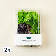 프리미엄 베이비케일 가든 샐러드 믹스, 100g, 1개입, 2개