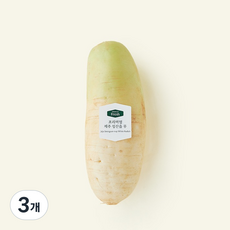프리미엄 제주 성산읍 무, 1kg, 1개입, 3개