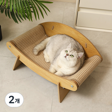 칠시 고양이 컴포트 침대 스크래쳐, 2개, 혼합색상
