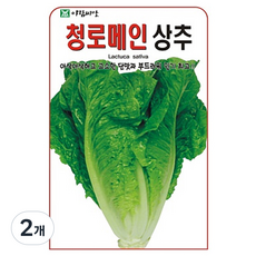 아람종묘 청로메인상추 씨앗, 2개