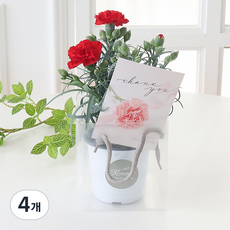 모리앤 사랑담은 카네이션 화분 + 쇼핑백, 레드, 4개