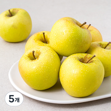 하이프루츠 시나노골드 사과, 1.5kg(소과, 8~9입), 5개