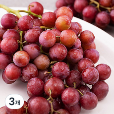 PSK 미국 씨없는 적포도, 1.2kg, 3개