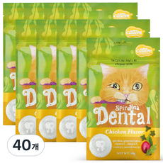 캣템 고양이 스피루리나 덴탈 간식, 치킨, 60g, 40개