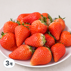 광식이농장 미니 킹스베리, 500g, 3개