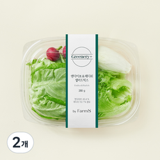 Greenery+ 엔다이브 & 레디쉬 샐러드믹스, 280g, 2개
