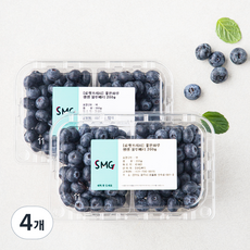 좋은하루 생생 블루베리, 200g, 4개