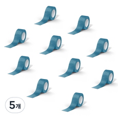 Daybyday 데이바이데이 밴드 2.5cm x 4.5m 블루, 5개, 10개입