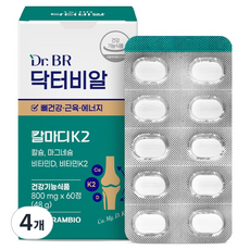 닥터비알 칼마디K2 48g, 4개, 60정