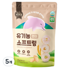 지구로운 유기농 아기 과자 소프트링, 5개, 40g, 현미