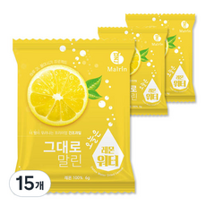 그대로말린 건조과일 오늘은 레몬워터 과실차, 6g, 1개입, 15개